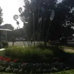 Mairangi Community Planting Day Lifestyle