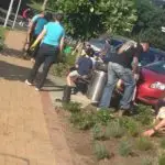 Mairangi Community Planting Day Real Estate