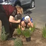 Mairangi Community Planting Day Real Estate