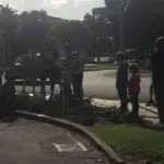 Mairangi Community Planting Day Real Estate