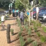 Mairangi Community Planting Day Real Estate