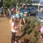 Mairangi Community Planting Day Lifestyle