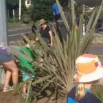 Mairangi Community Planting Day Real Estate