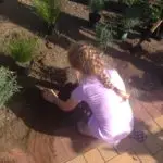 Mairangi Community Planting Day Lifestyle