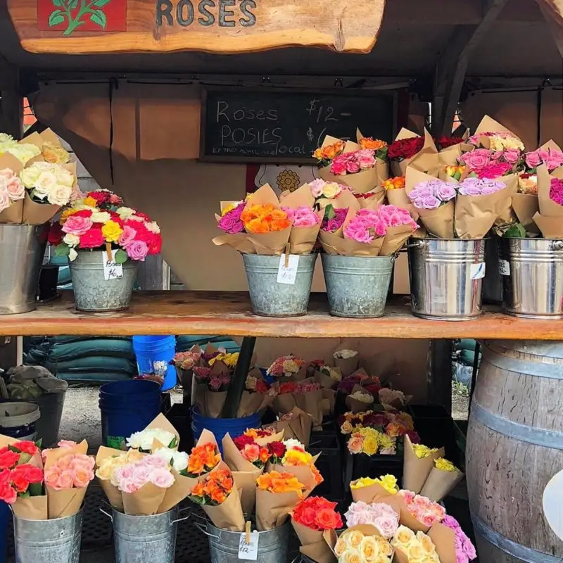 Whangateu Roses at the Matakana Farmers Market
