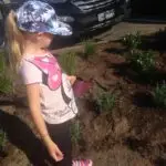Mairangi Community Planting Day Real Estate