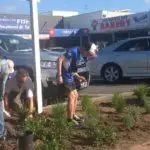 Mairangi Community Planting Day Real Estate