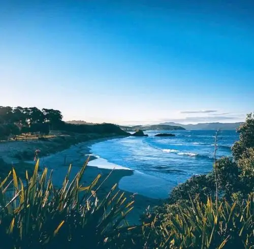 Tawharanui Beach at Sunrise