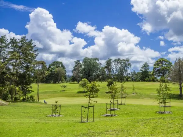 Lot3184LaurelOakDrAlbany8 Lot3184LaurelOakDrAlbany8