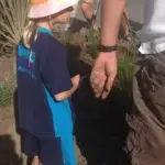 Mairangi Community Planting Day Real Estate