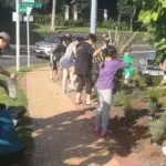 Mairangi Community Planting Day Real Estate