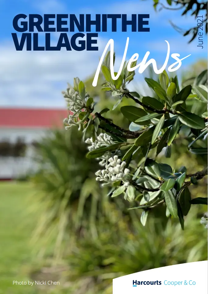 Screen Shot 2021-06-23 at 1.24.12 PM