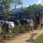 Mairangi Community Planting Day Lifestyle