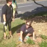 Mairangi Community Planting Day Real Estate