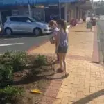 Mairangi Community Planting Day Real Estate