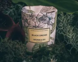 Screen Shot 2018-06-21 at 3.02.46 PM