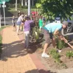 Mairangi Community Planting Day Real Estate