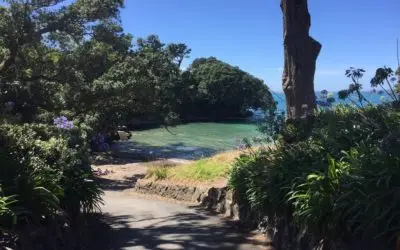 Winstones Cove, Waiake