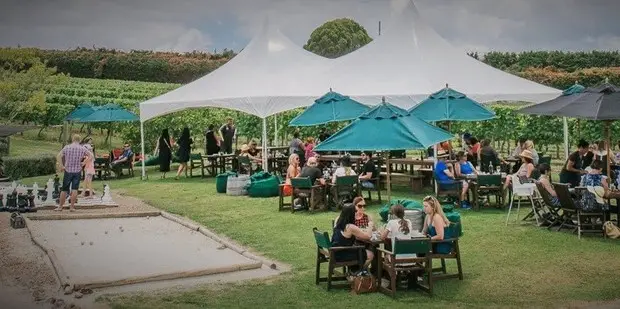 Marino Ridge, Waiheke Island. Photo / Supplied