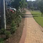 Mairangi Community Planting Day Real Estate