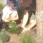 Mairangi Community Planting Day Real Estate