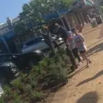 Mairangi Community Planting Day Real Estate