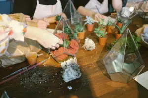 Screen Shot 2017-01-19 at 10.20.19 am