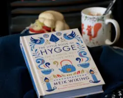 Screen Shot 2018-06-21 at 3.03.27 PM